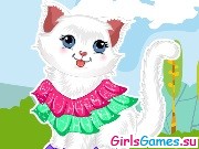 Игра Милая персидская кошка